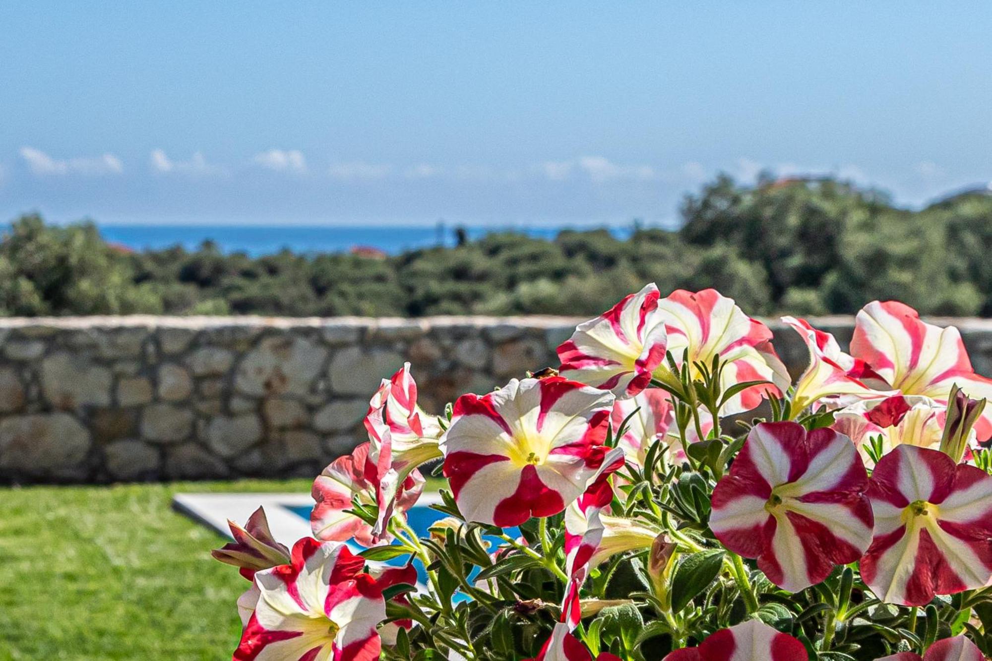 Villa Penelope Galatás المظهر الخارجي الصورة